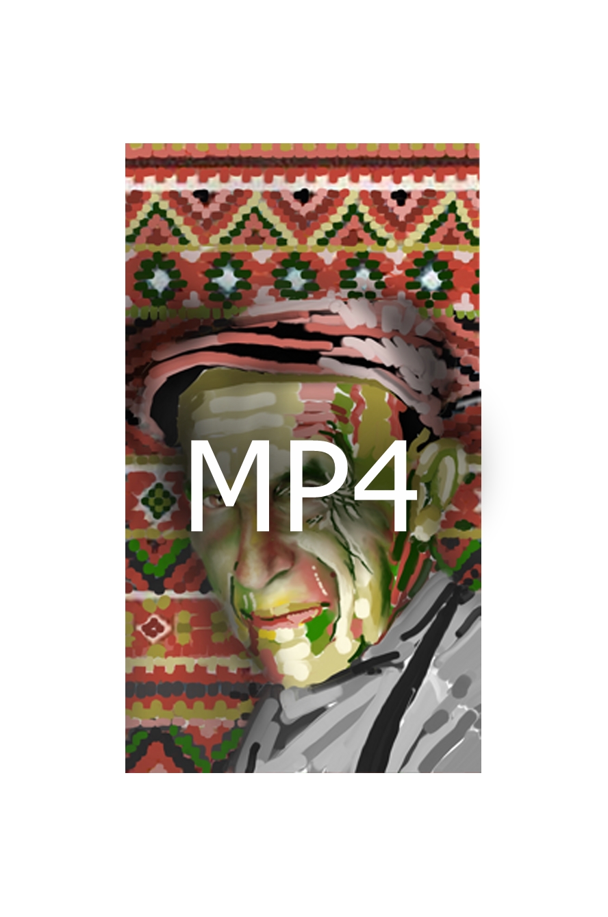 Portrait Video